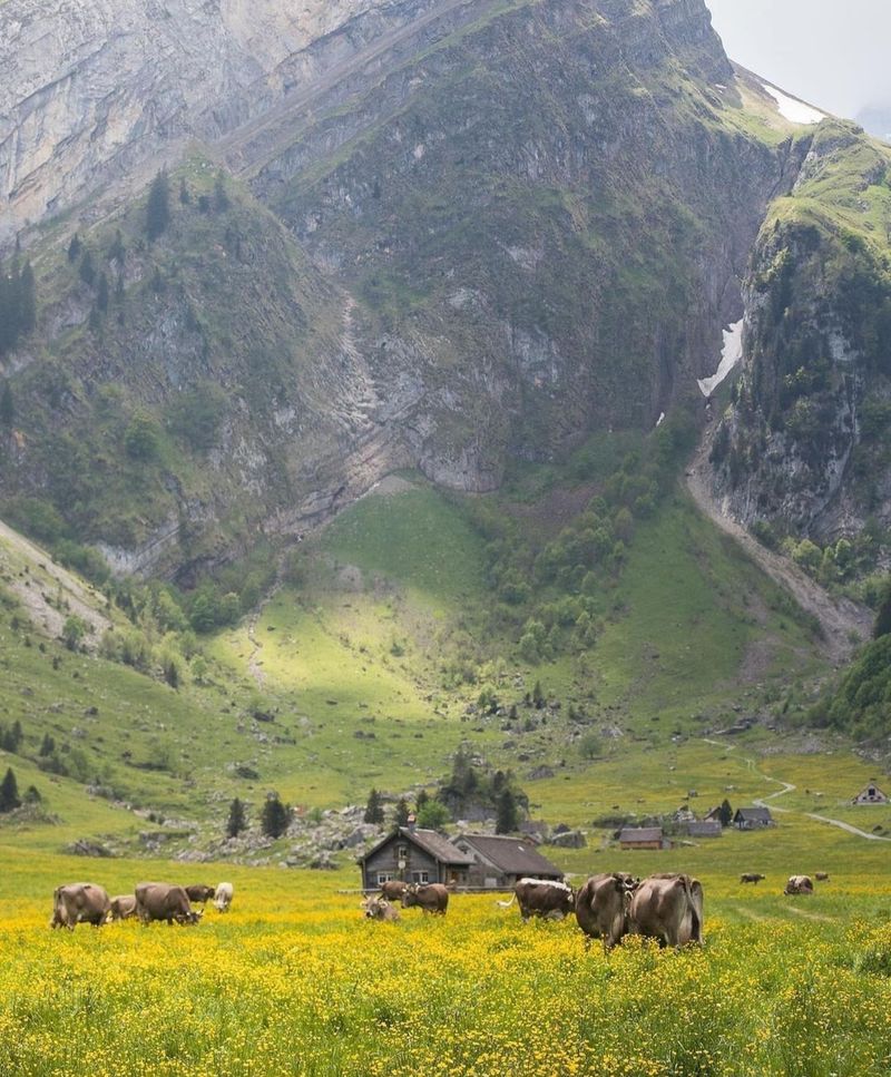 Appenzell Alpstein, Schwende-Rute, Appenzell Innerrhoden, Switzerland