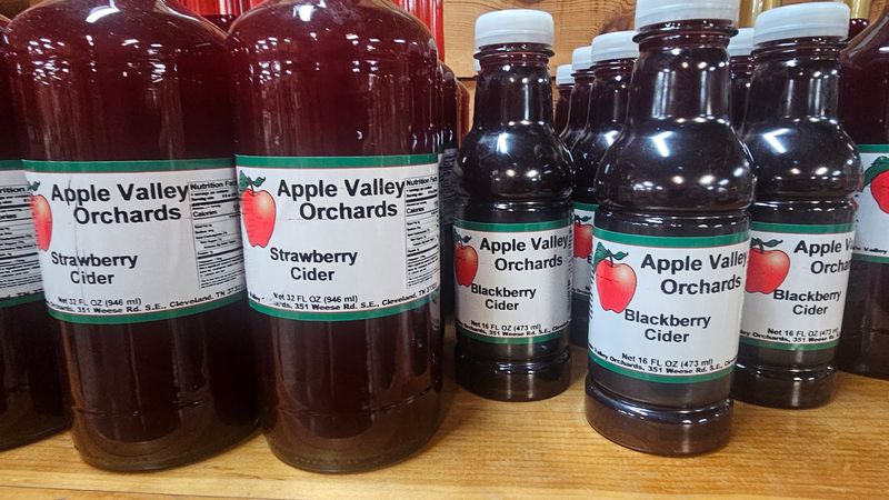 Apple Cider In Every Flavor Apple Cider In Every Flavor