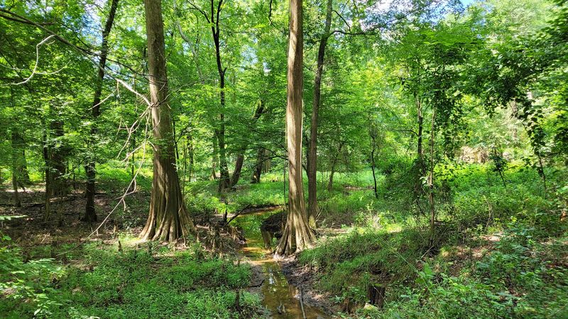 Arkansas Arboretum, Little Rock, Arkansas