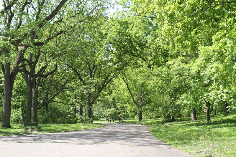 Arnold Arboretum of Harvard University, Boston Arnold Arboretum of Harvard University, Boston