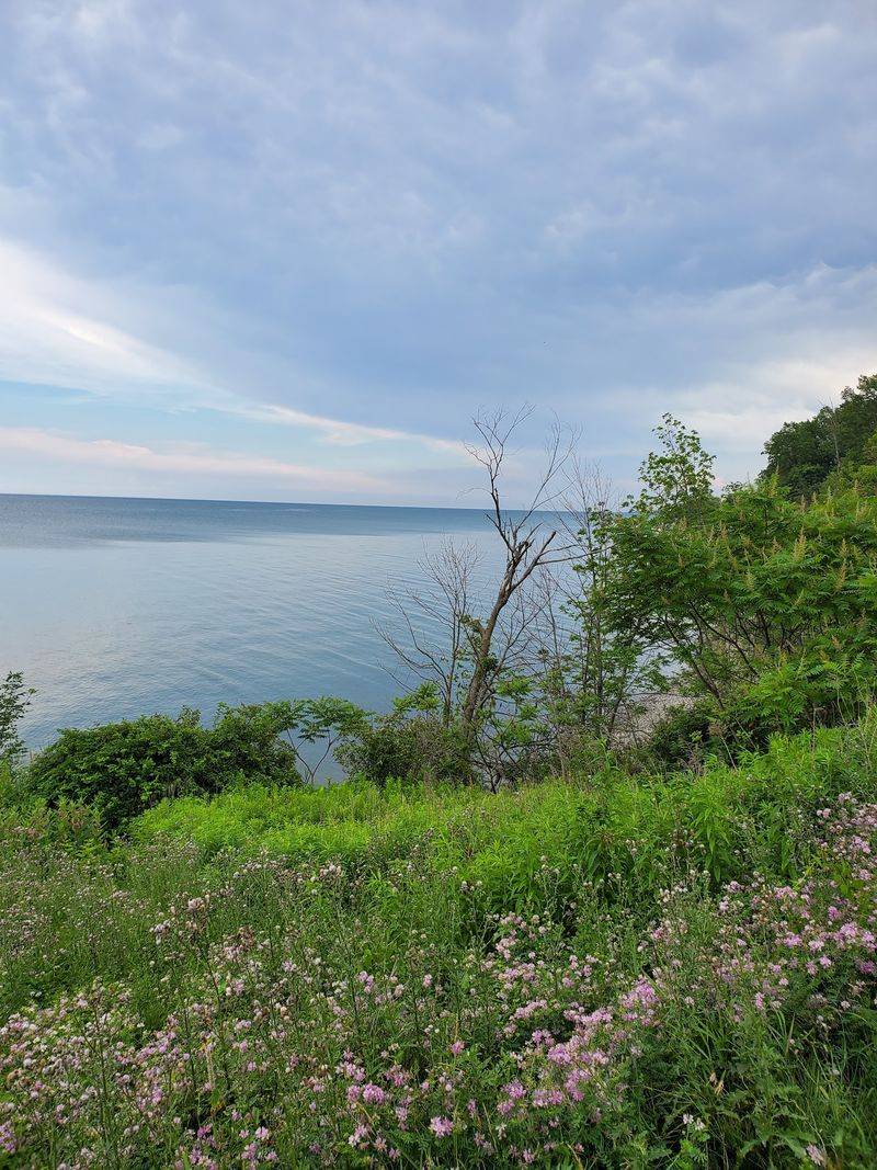 Ashtabula County's Broader Appeal as a Backdrop Ashtabula County's Broader Appeal as a Backdrop