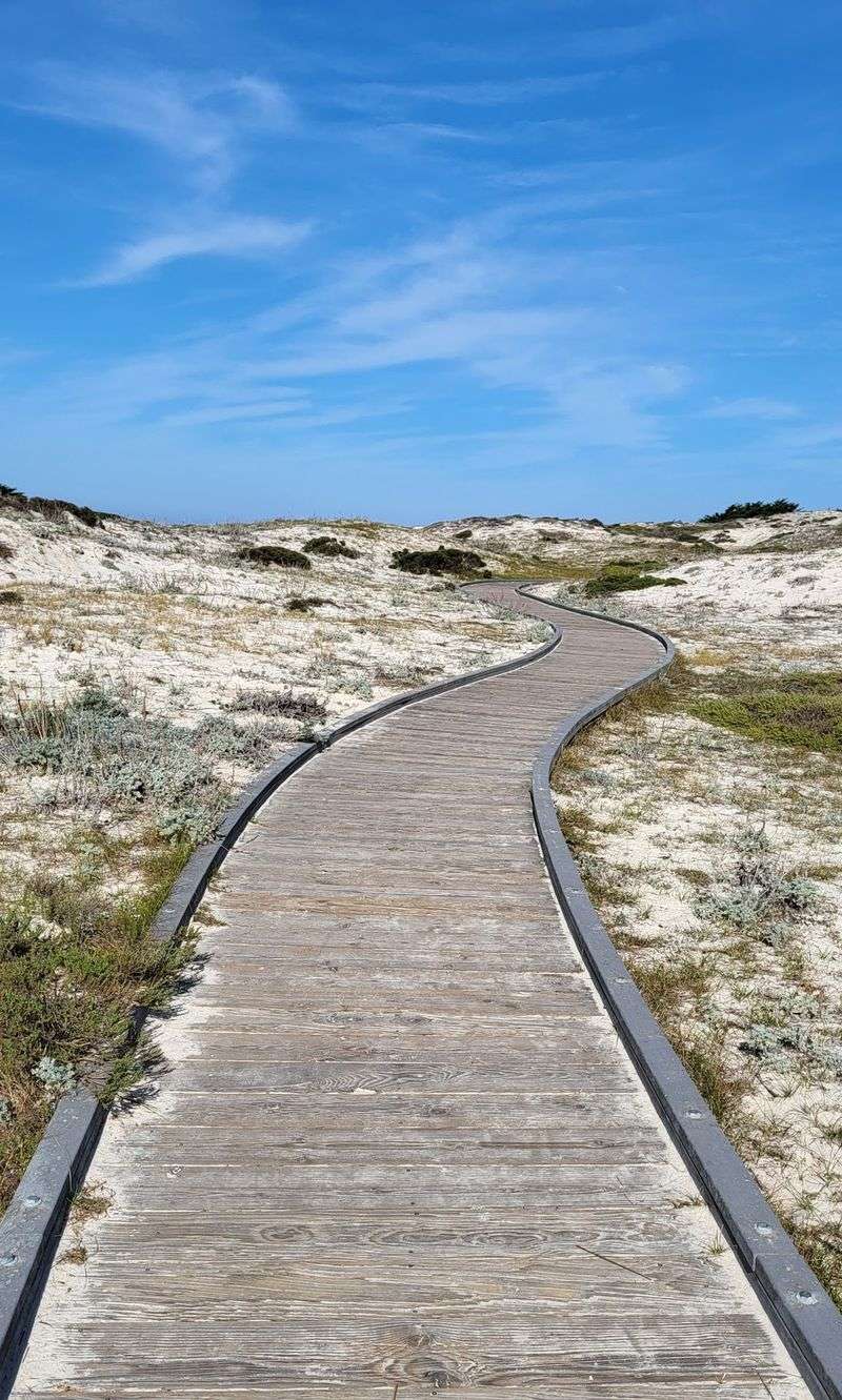Asilomar Dunes Boardwalk, Pacific Grove, California Asilomar Dunes Boardwalk, Pacific Grove, California
