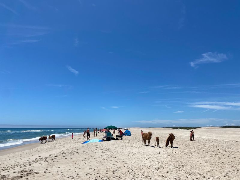 Assateague Island Nearby, Berlin, Maryland