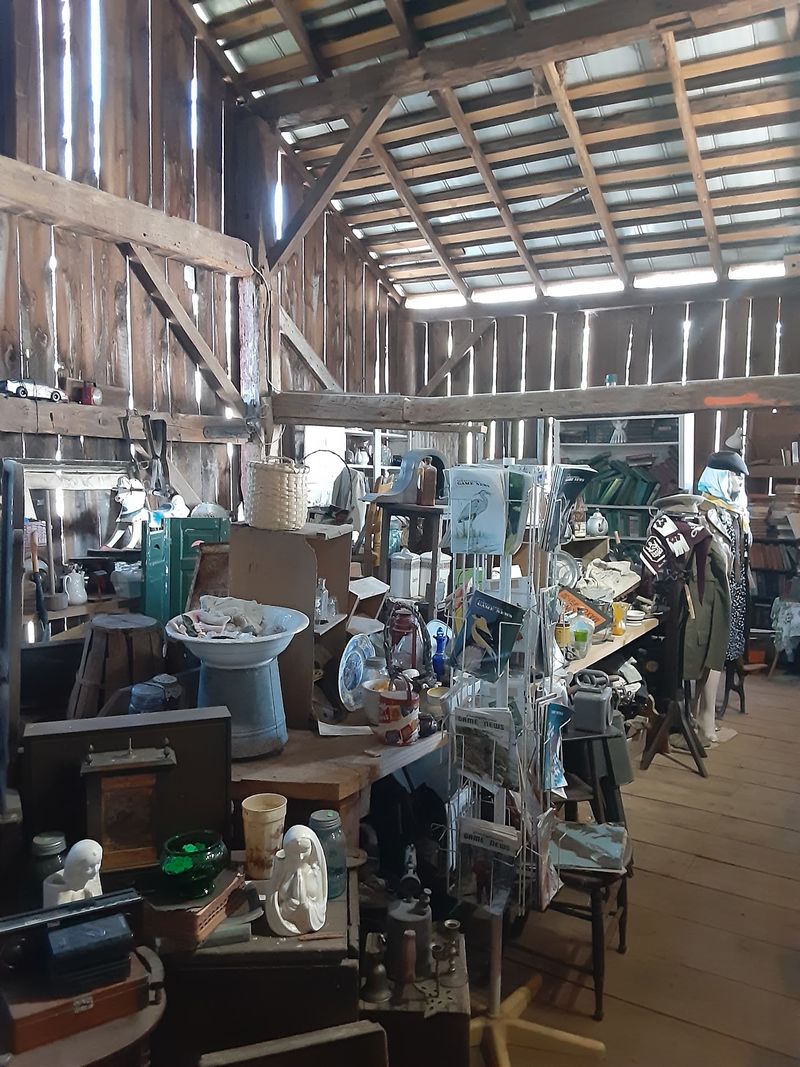 Auction Services and the Serious Collector's Advantage Auction Services and the Serious Collector's Advantage