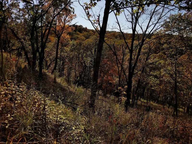 Autumn Foliage That Draws Visitors From Across the Region Autumn Foliage That Draws Visitors From Across the Region