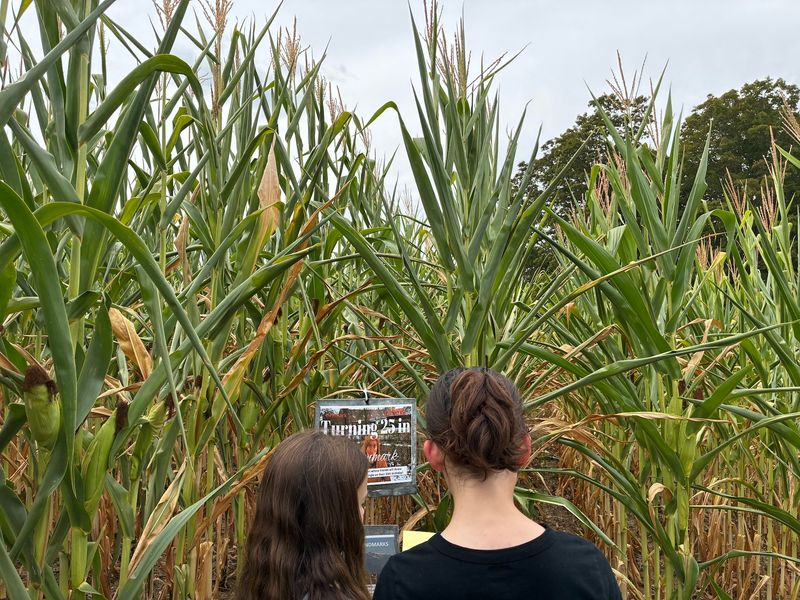 Award-Winning Corn Mazes Built by the Next Generation Award-Winning Corn Mazes Built by the Next Generation