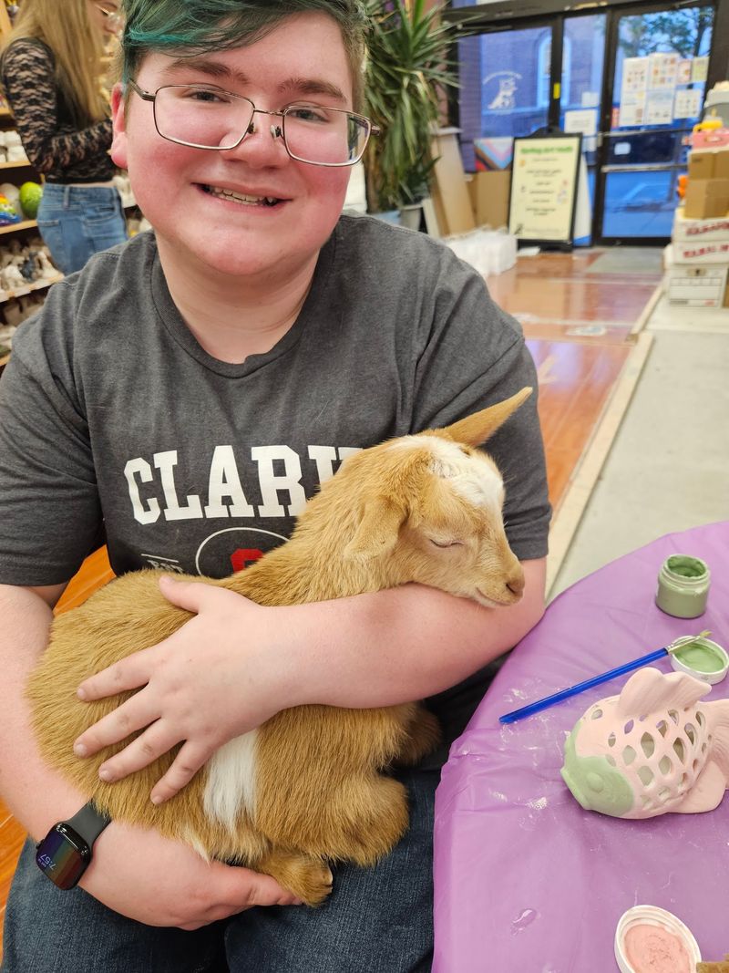 Baby Goats and the Artist Lounge