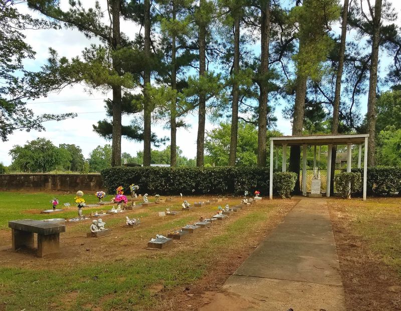 Baby Land and Veterans Sections - The Full Scope of the Cemetery Baby Land and Veterans Sections - The Full Scope of the Cemetery