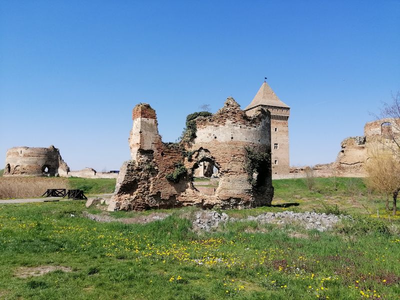 Bač