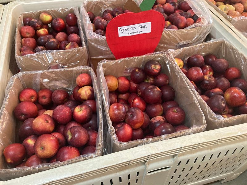 Bags of Fresh, Seasonal Apples Bags of Fresh, Seasonal Apples