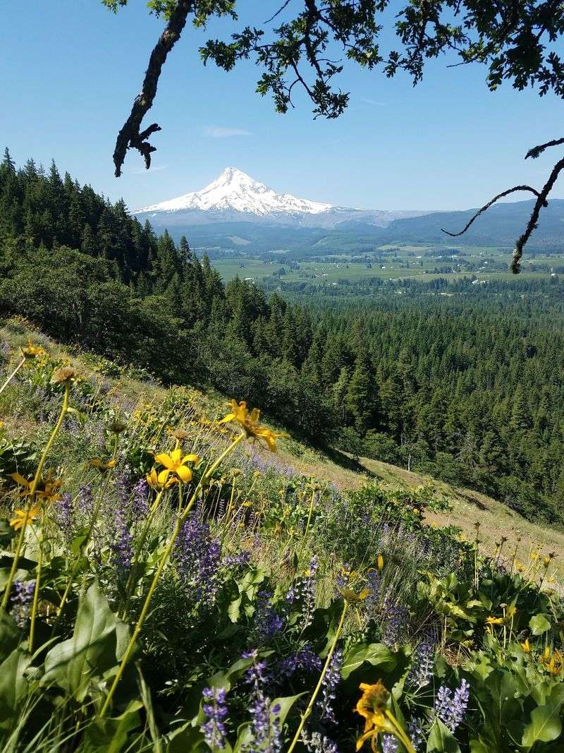 Bald Butte - Near Hood River