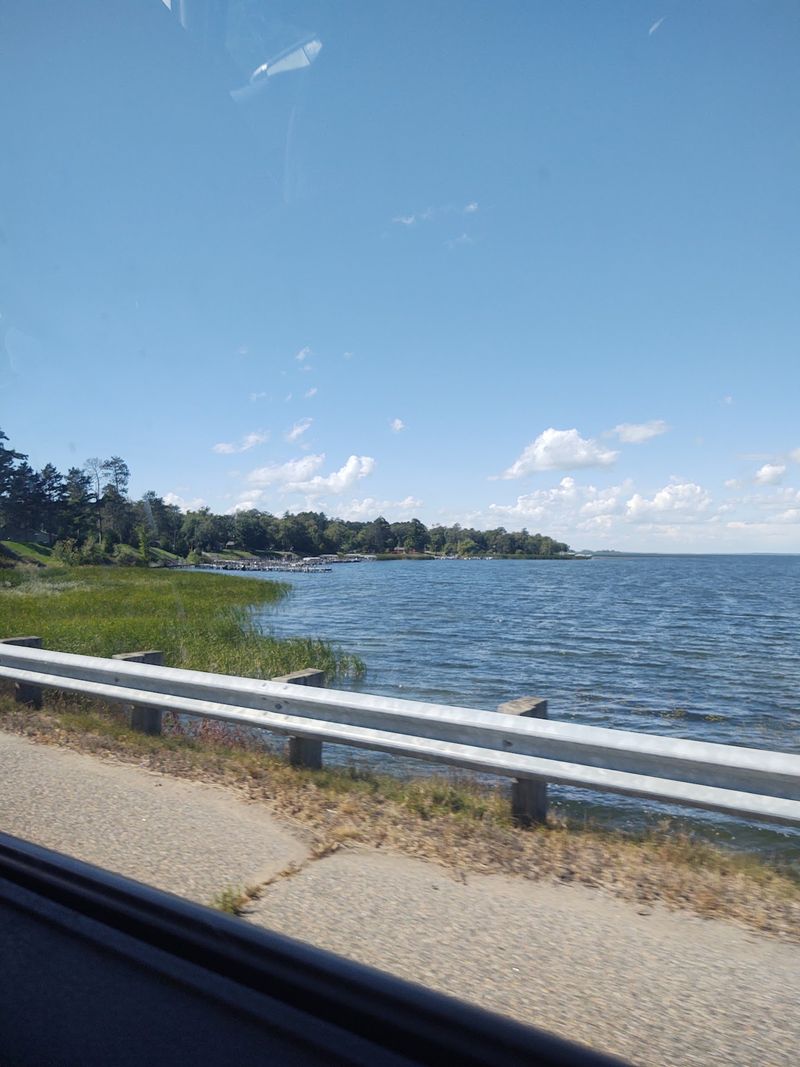 Bald Eagles And Wildlife Around The Lake