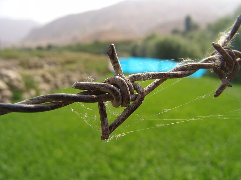 Barbed Wire Barbed Wire