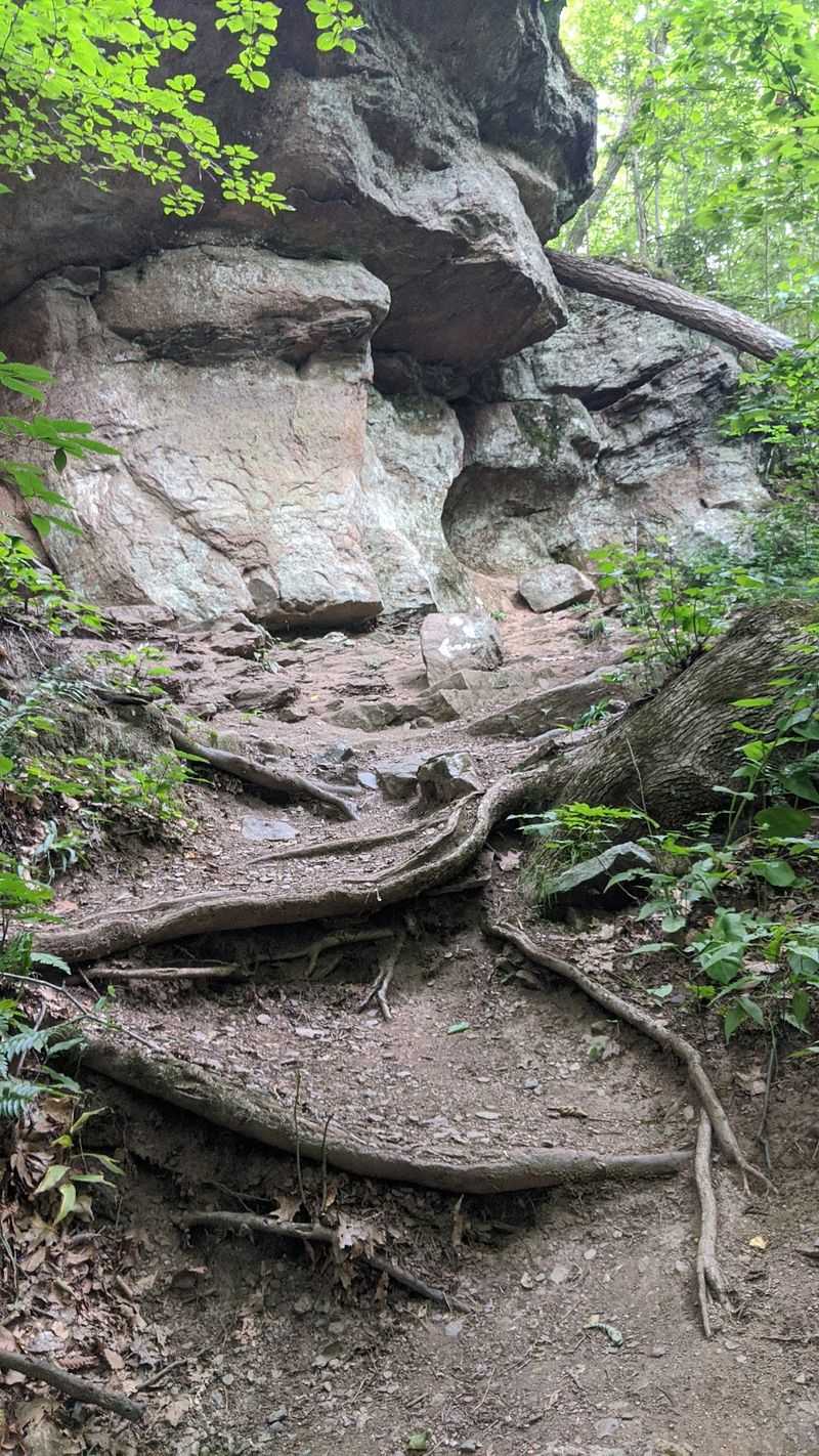 Bare Mountain and Mount Norwottuck Trail, Amherst