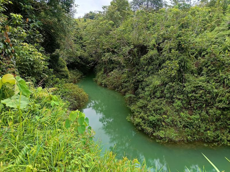 Batang Ai National Park, Lubok Antu, Sarawak, Malaysia Batang Ai National Park, Lubok Antu, Sarawak, Malaysia