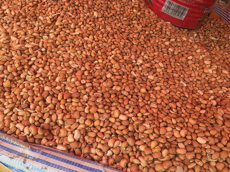 Beans Beans