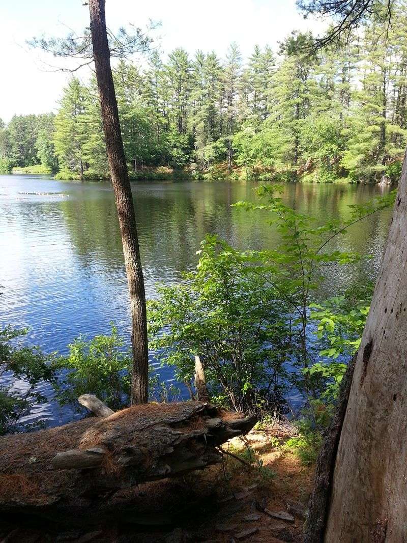 Bear Brook State Park, Allenstown, New Hampshire