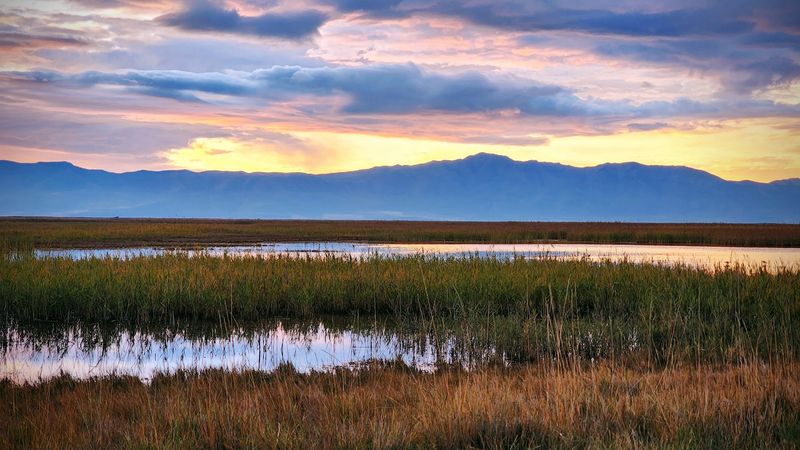 Bear River Migratory Bird Refuge, Utah Bear River Migratory Bird Refuge, Utah