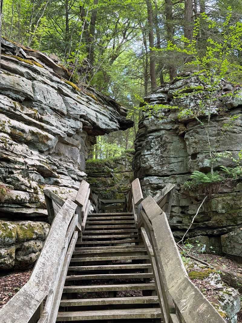 Beartown State Park, Renick, West Virginia Beartown State Park, Renick, West Virginia