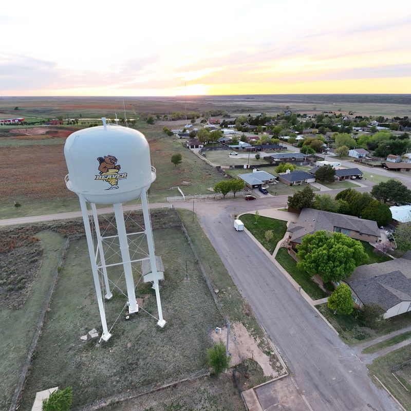 Beaver, Oklahoma, Holds a World Cow Chip Throwing Contest