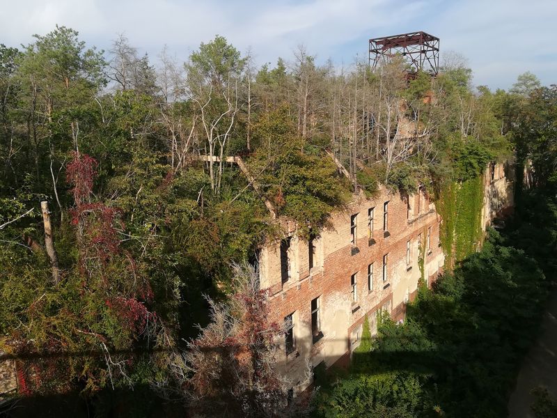 Beelitz-Heilstätten, Beelitz, Brandenburg, Germany