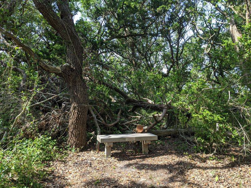 Benches, Shade, and Room to Rest
