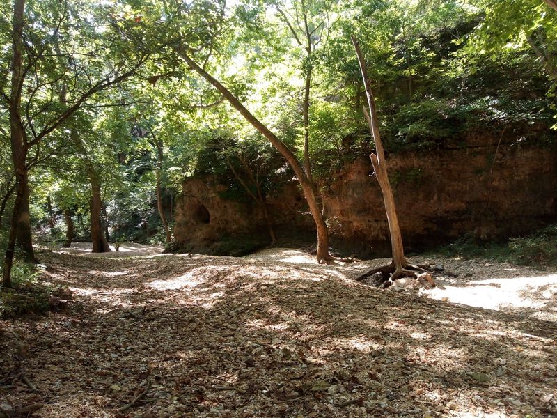 Bennett Spring State Park, Lebanon, Missouri