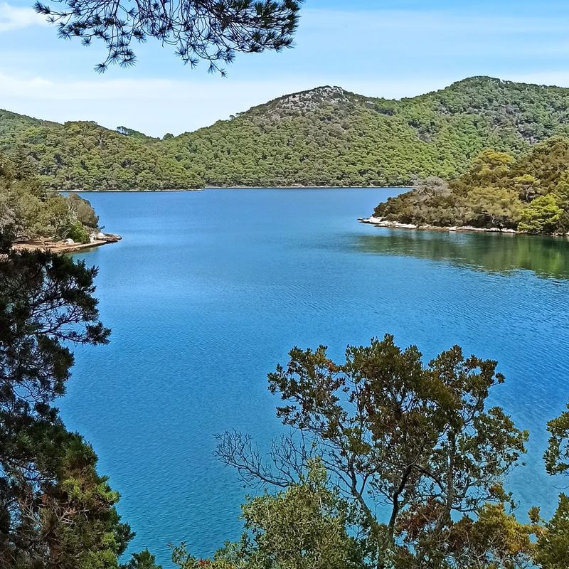 Best Time to Visit Mljet