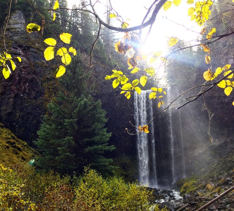 Best Times to Visit: Seasons, Snow, and the Golden Larch Window Best Times to Visit: Seasons, Snow, and the Golden Larch Window