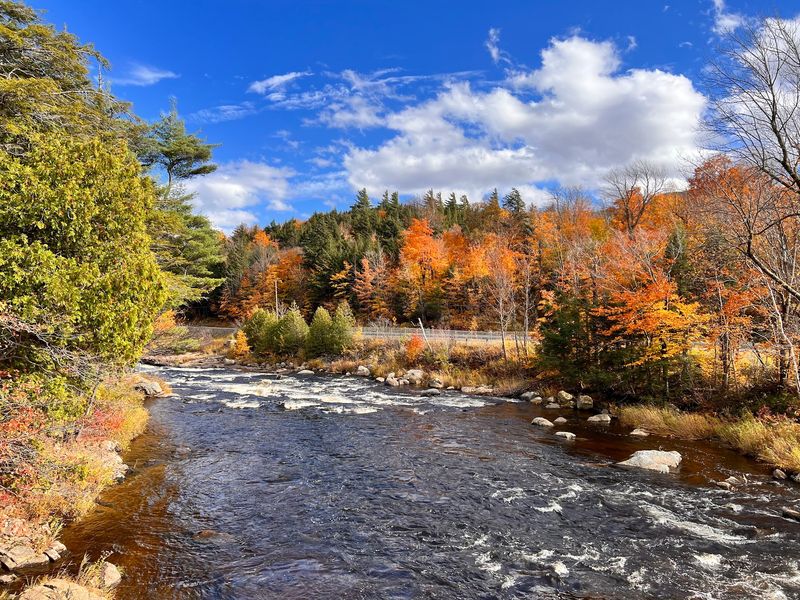 Best Times to Visit and Seasonal Conditions Best Times to Visit and Seasonal Conditions