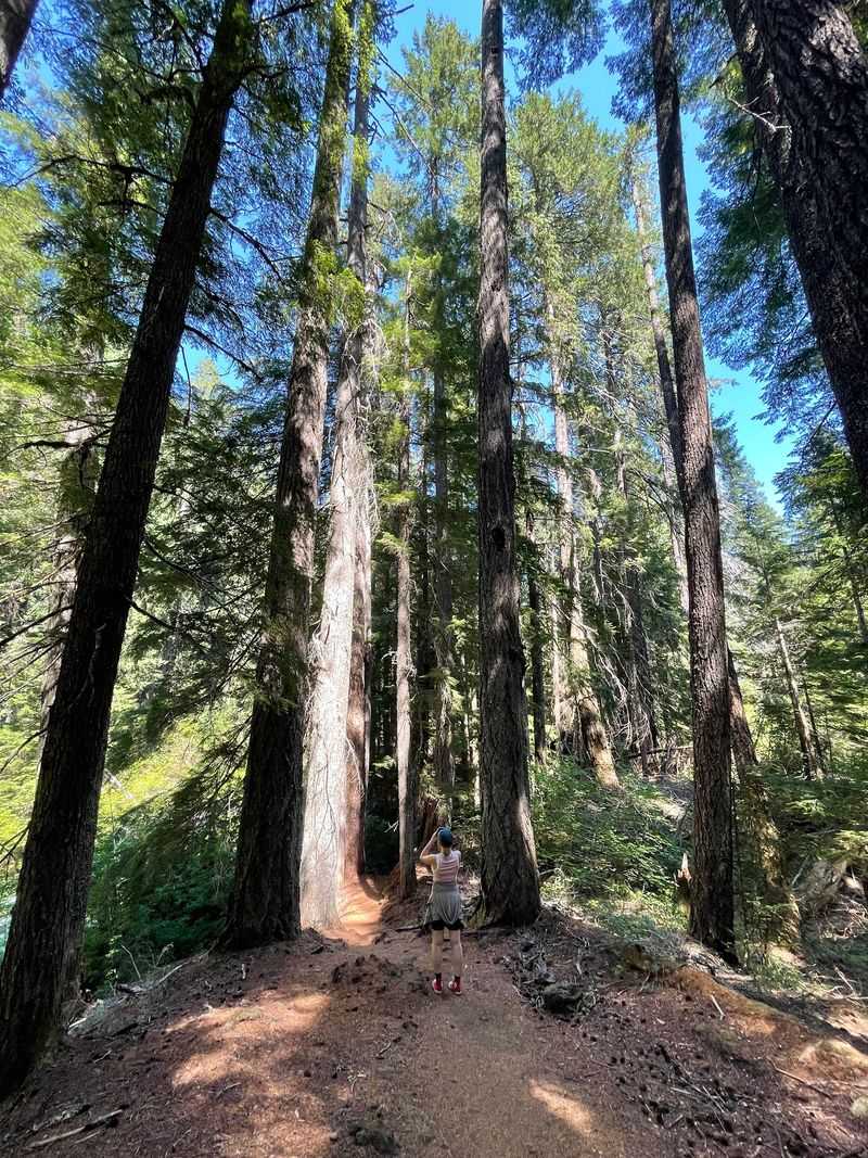 Best Times to Visit and Seasonal Considerations