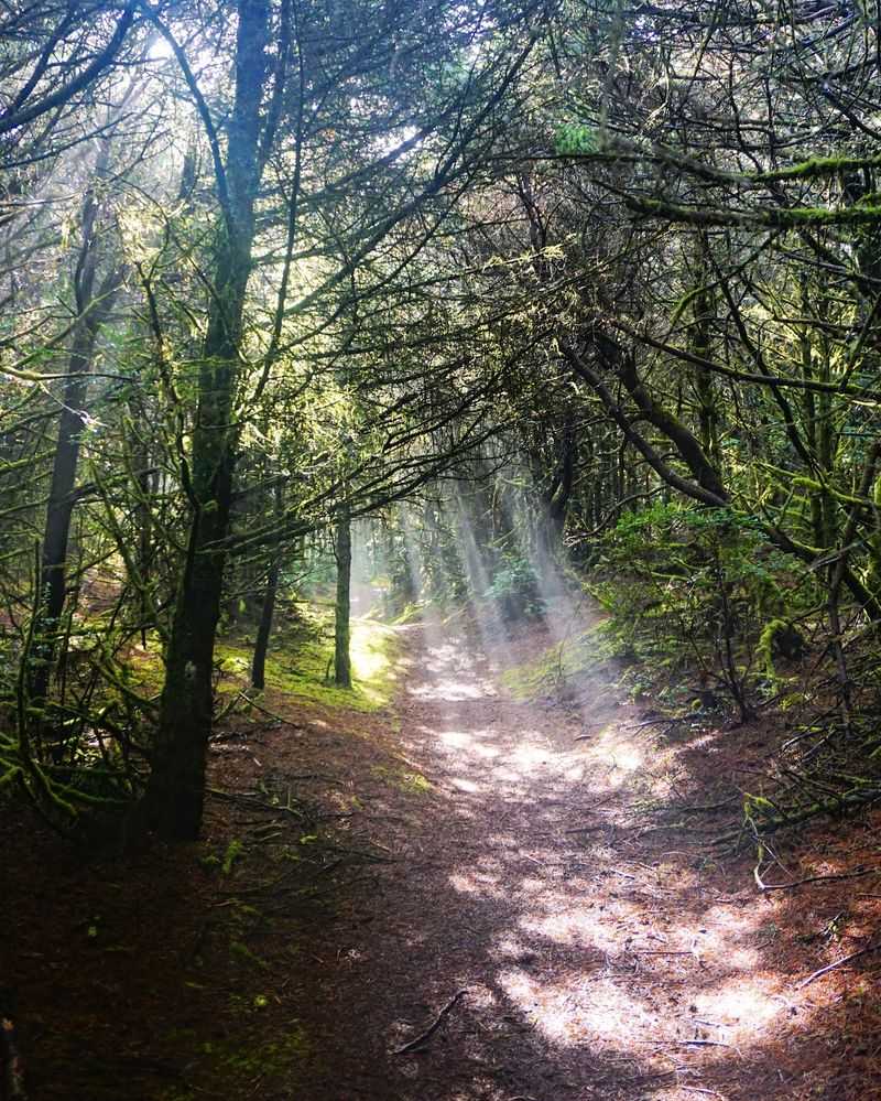 Best Times to Visit and What the Seasons Bring Best Times to Visit and What the Seasons Bring