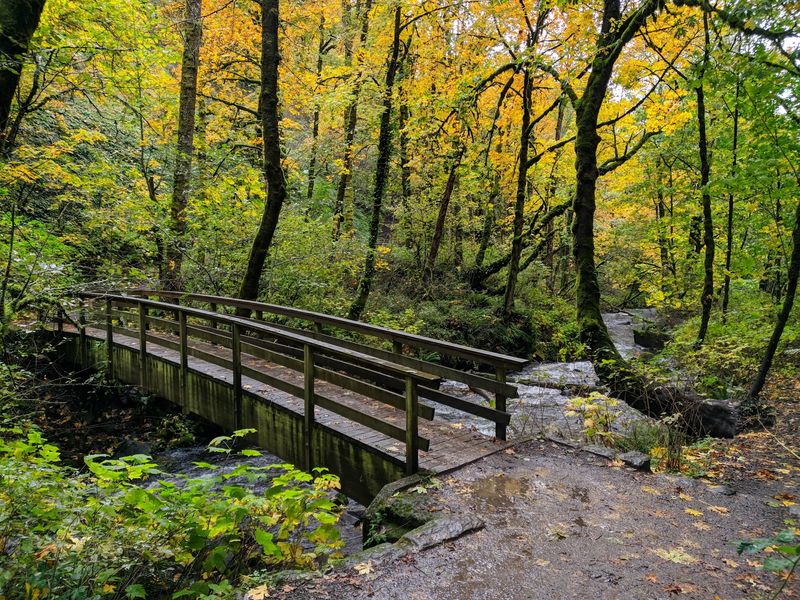 Best Times to Visit and What to Expect Each Season Best Times to Visit and What to Expect Each Season