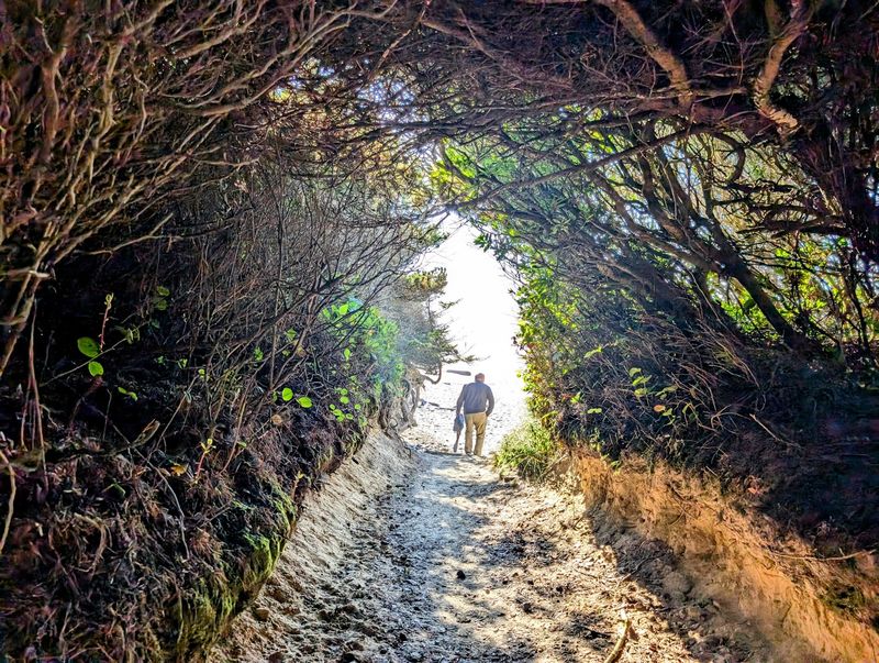 Best Times to Visit and What to Expect Each Season Best Times to Visit and What to Expect Each Season