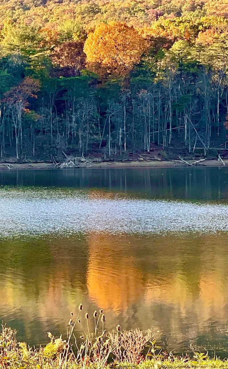 Best Times to Visit the Loop Trail