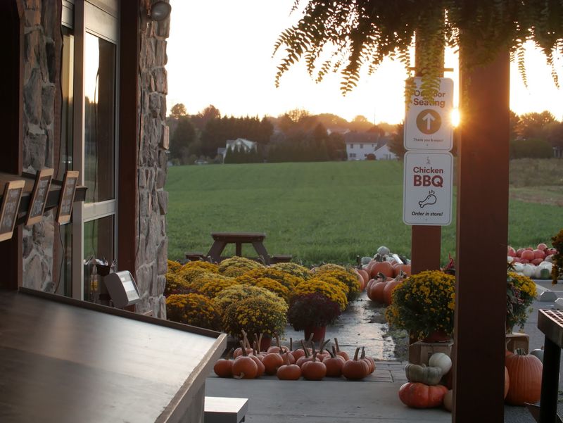 Beyond the Bushel: The Authentic Farm Atmosphere Beyond the Bushel: The Authentic Farm Atmosphere