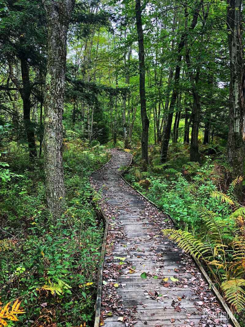 Beyond the Main Loop: Additional Trails Worth Exploring
