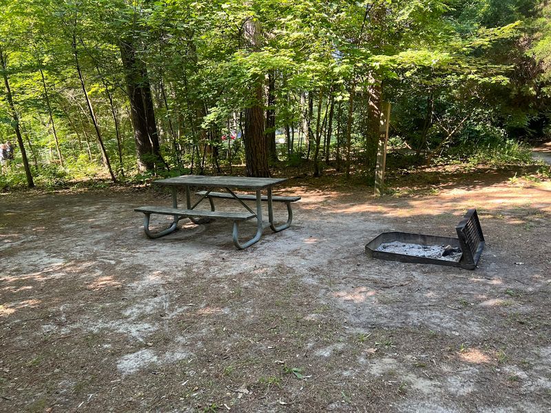Beyond the Trails: Picnicking, Playgrounds, and a Peaceful Pause Beyond the Trails: Picnicking, Playgrounds, and a Peaceful Pause