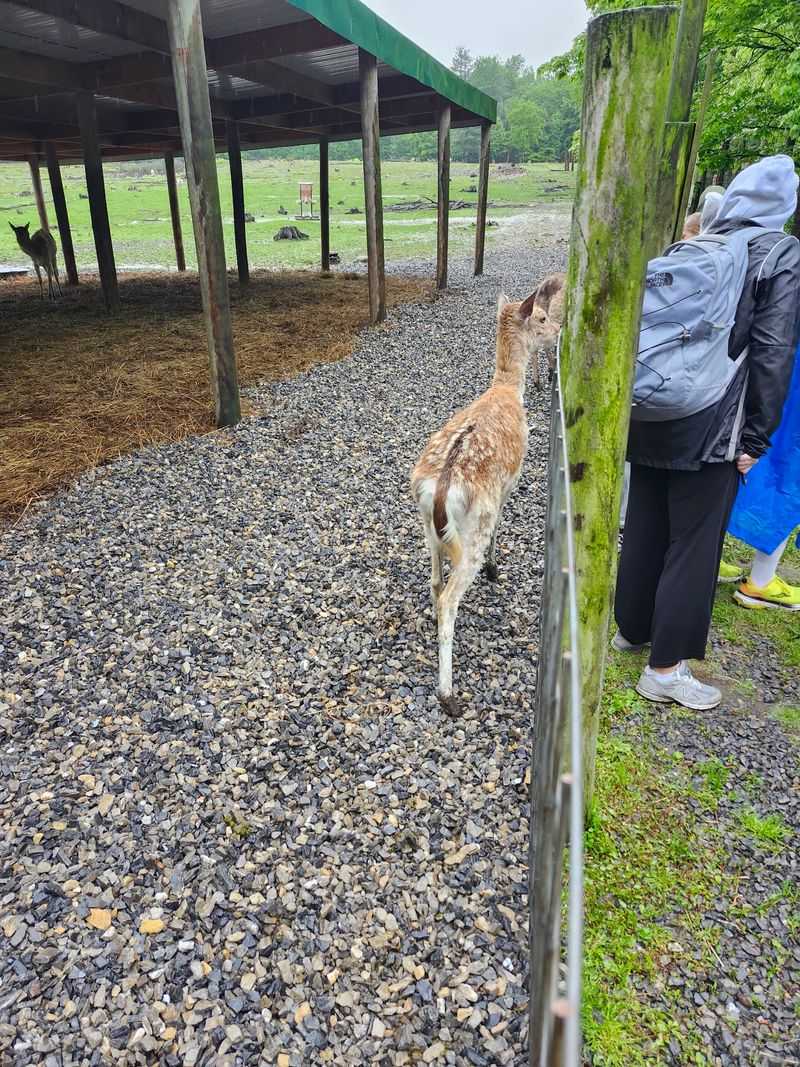 Beyond the Visit: Supporting the Sanctuary's Future Beyond the Visit: Supporting the Sanctuary's Future