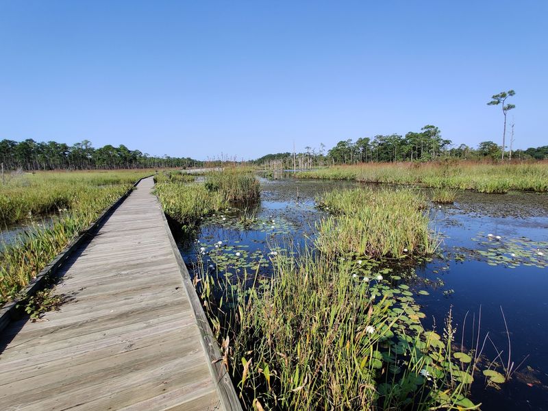 Big Branch Marsh National Wildlife Refuge, Lacombe, Louisiana Big Branch Marsh National Wildlife Refuge, Lacombe, Louisiana