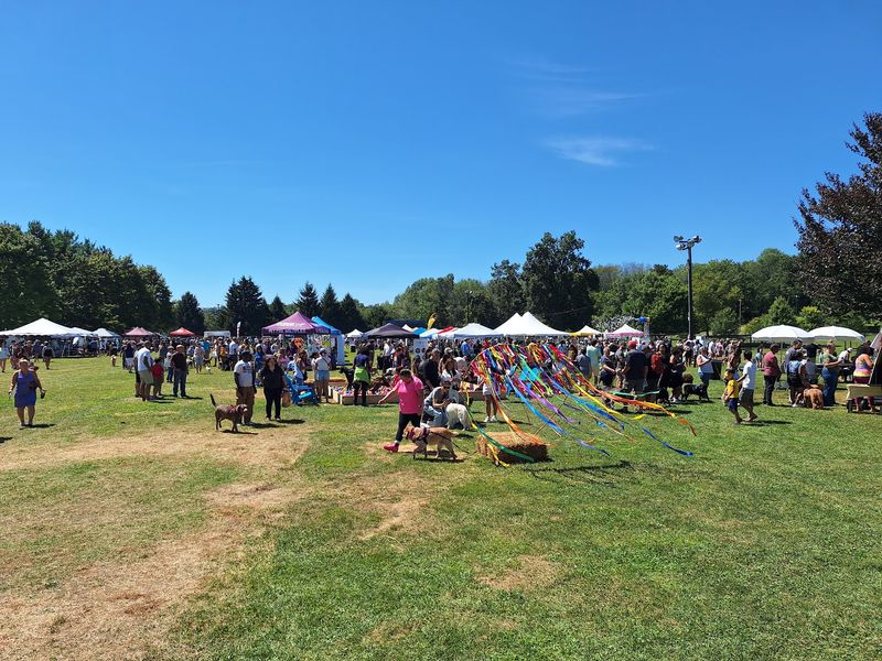Big Events Beyond The Summer Fair Big Events Beyond The Summer Fair