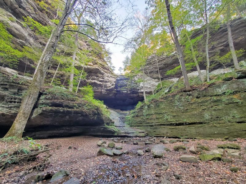 Big Rocky Hollow Trail at Ferne Clyffe State Park Big Rocky Hollow Trail at Ferne Clyffe State Park