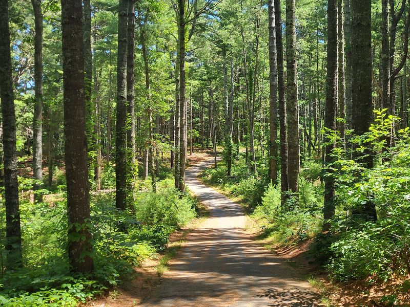 Bike Trails That Connect to the Whole Cape