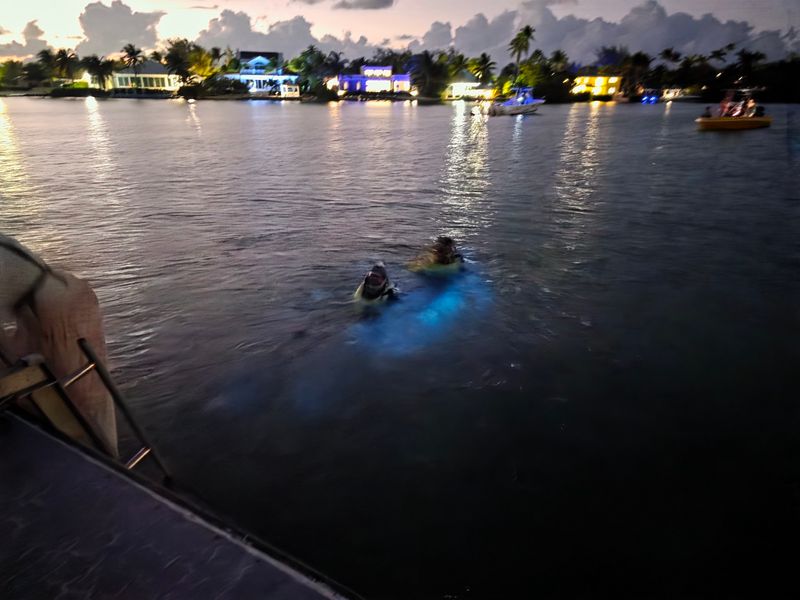 Bioluminescent Bay, Grand Cayman, Cayman Islands Bioluminescent Bay, Grand Cayman, Cayman Islands