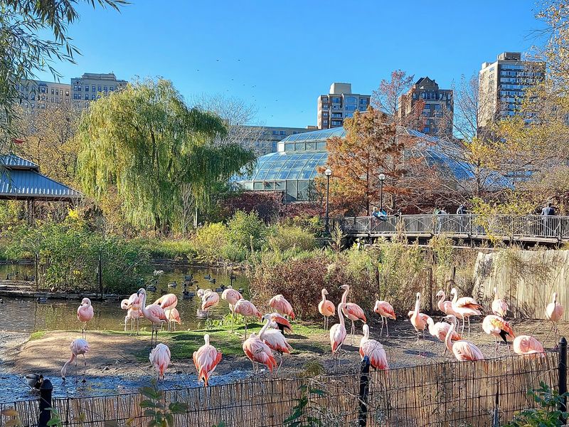 Bird Encounters in the Aviary and Beyond