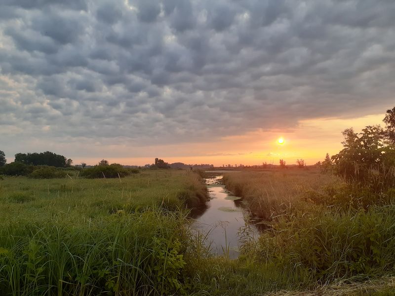 Birding That Serious Photographers Dream About Birding That Serious Photographers Dream About