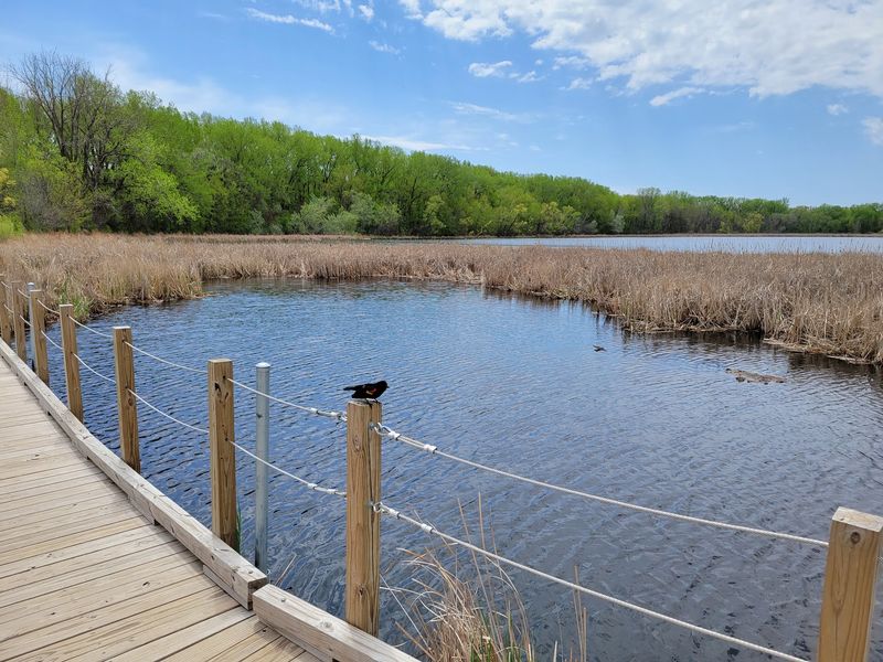 Birdwatching Opportunities That Surprise Even Experienced Birders