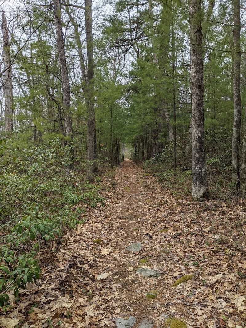 Black Forest Trail, Slate Run, Pennsylvania