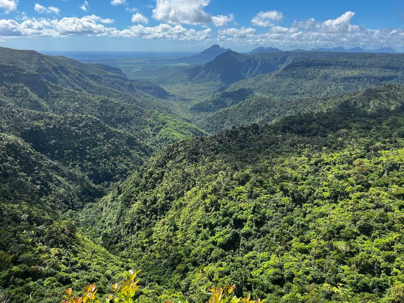 Black River Gorges National Park, Mauritius