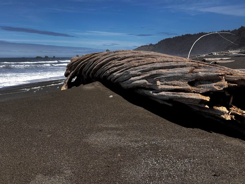 Black Sand Beach: A Shoreline Unlike Any Other Black Sand Beach: A Shoreline Unlike Any Other